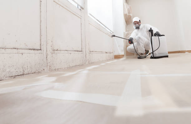 24/7 Emergency Crawl Space Mold Remediation experts in Purcellville, VA