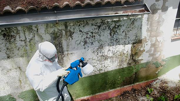 Top rated local Crawl Space Mold Remediation specialists in Purcellville, VA